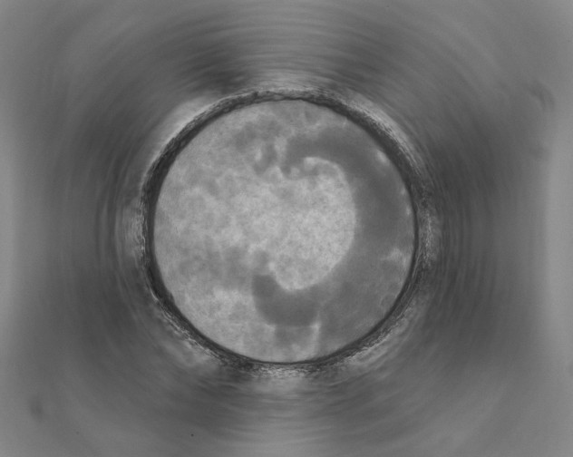 X0000111220878200907301223