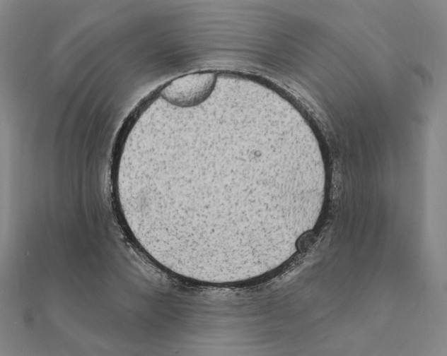 X0000111220880200907301223