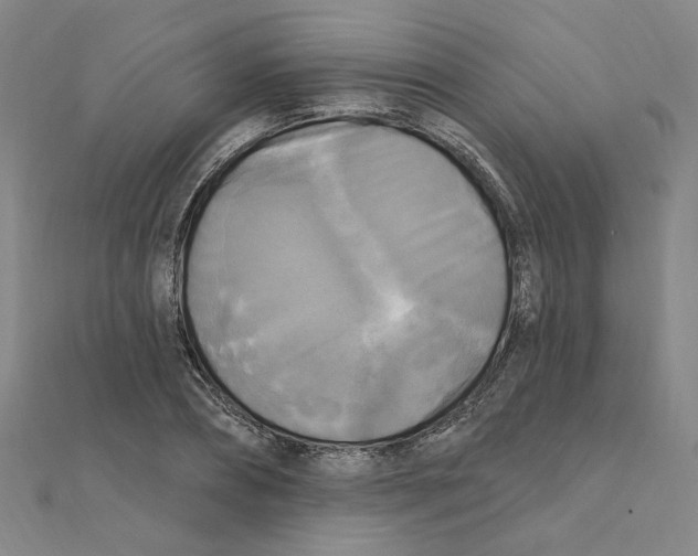 X0000111220882200907301223