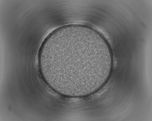 X0000111220883200907301223