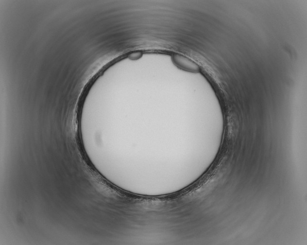 X0000111220885200907301223