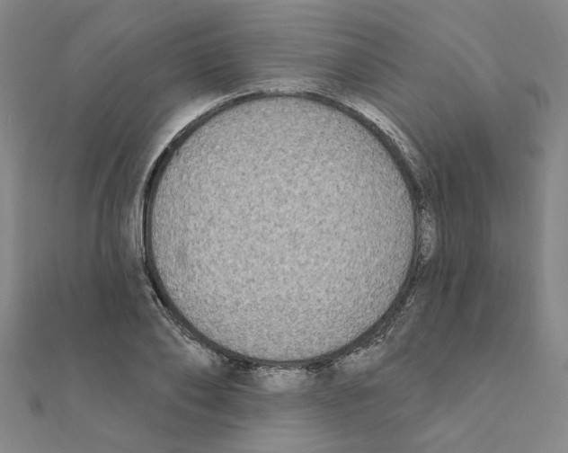 X0000111220886200907301223