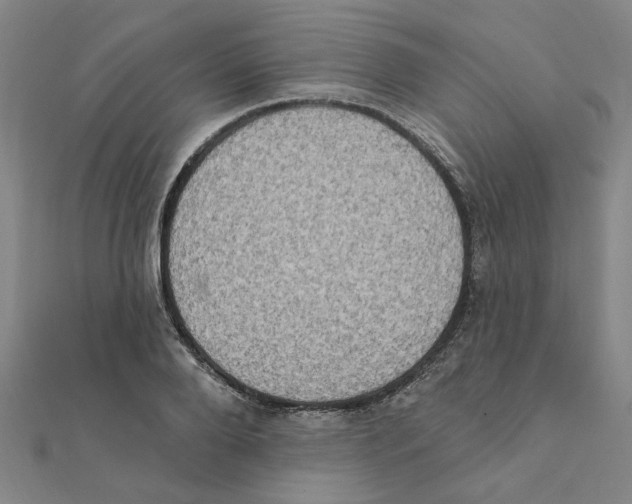 X0000111220888200907301223