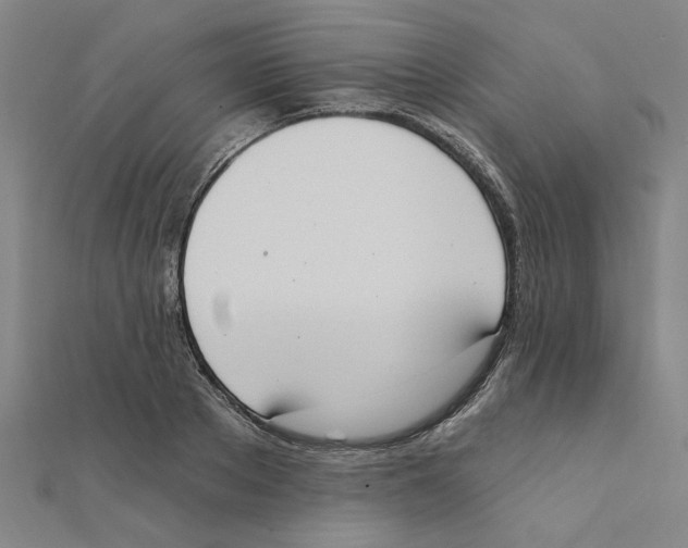 X0000111220889200907301223