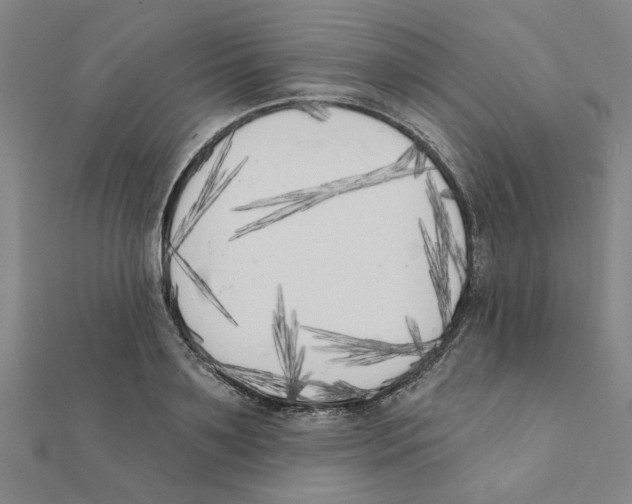 X0000111220891200907301223