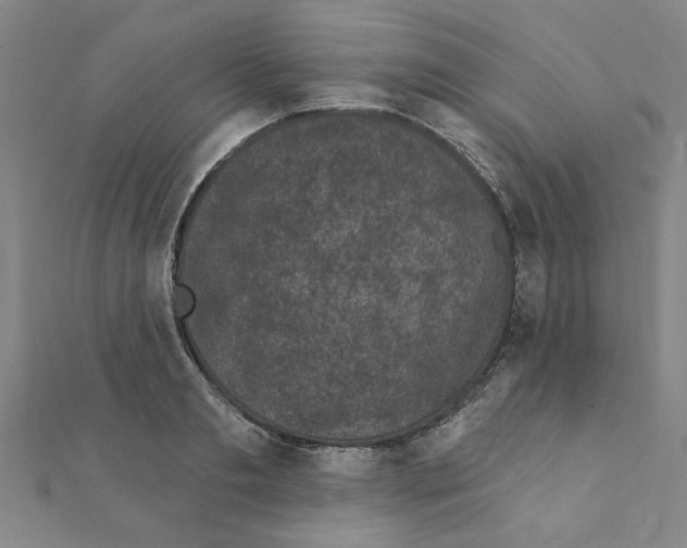 X0000111220893200907301223