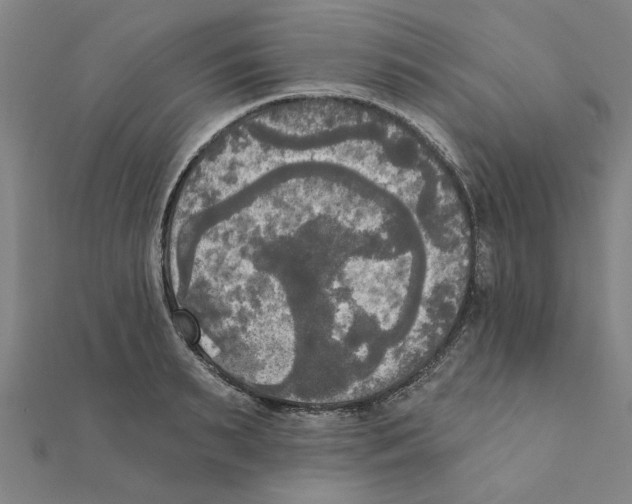 X0000111220895200907301223