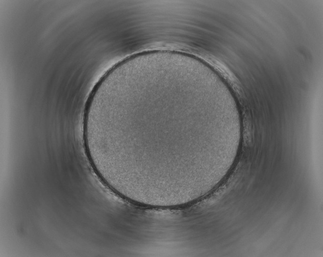 X0000111220896200907301223