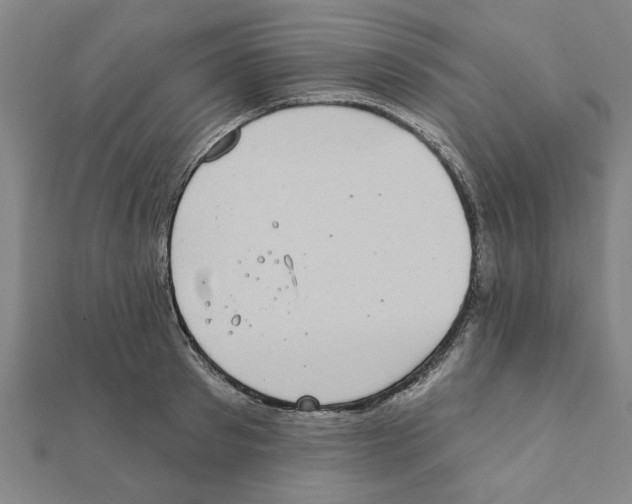 X0000111220897200907301223