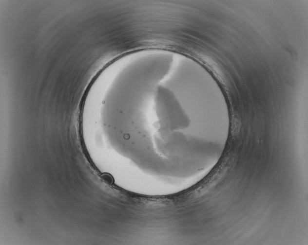 X0000111220899200907301223