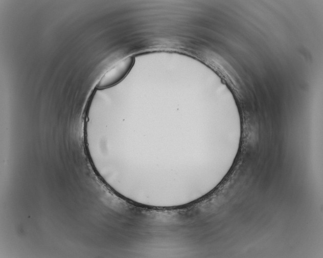 X0000111220900200907301223