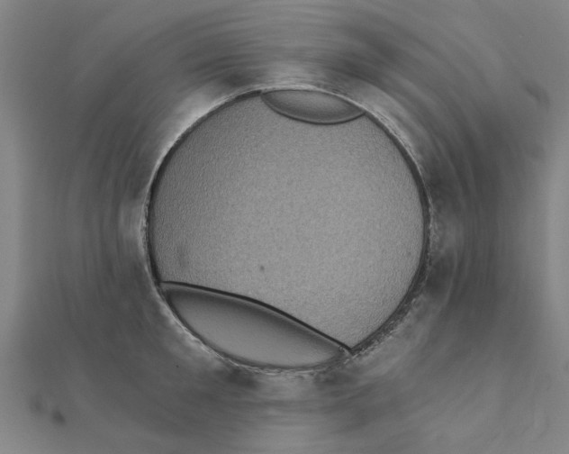 X0000111220901200907301223