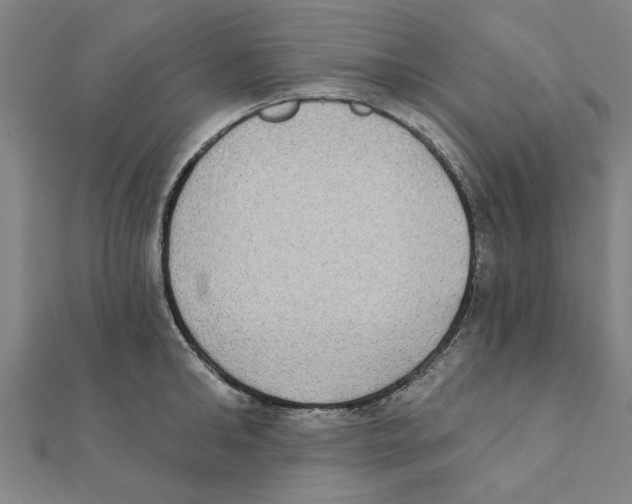 X0000111220902200907301223