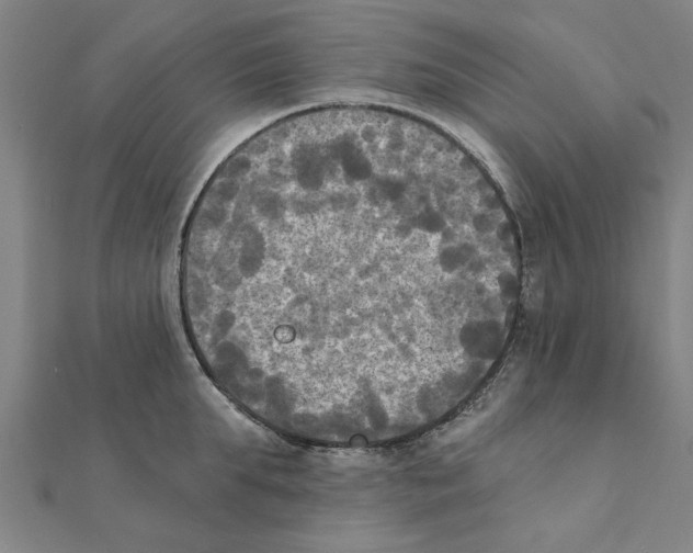 X0000111220903200907301223