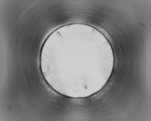 X0000111220904200907301223