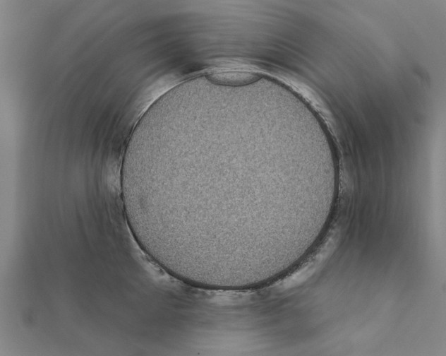 X0000111220905200907301223