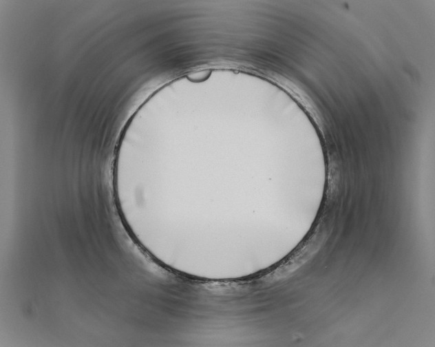 X0000111220906200907301223