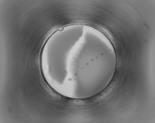 X0000111220907200907301223