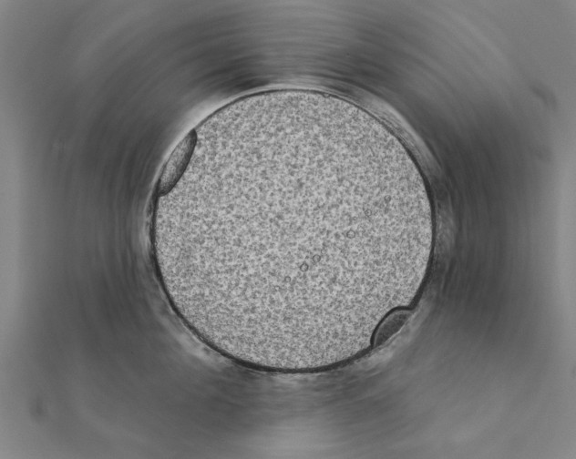 X0000111220908200907301223