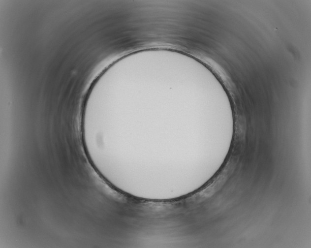 X0000111220910200907301223