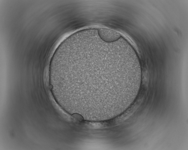 X0000111220911200907301223