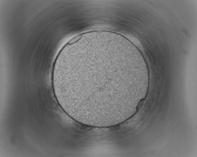 X0000111220912200907301223