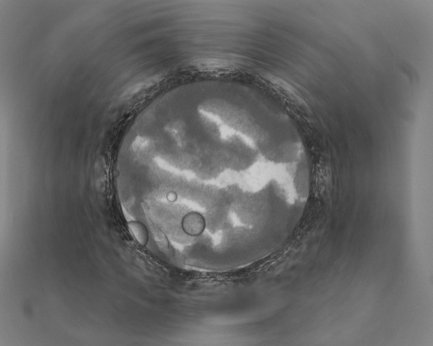 X0000111220917200907301222