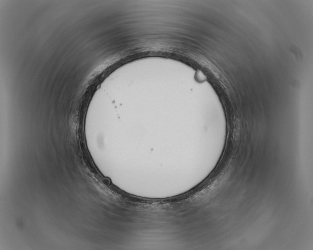 X0000111220922200907301222
