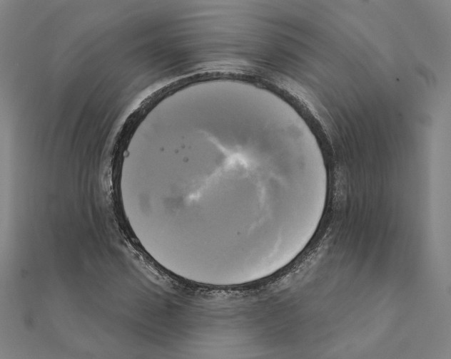 X0000111220923200907301222