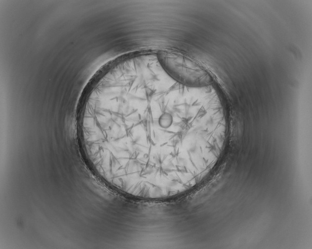 X0000111220924200907301222