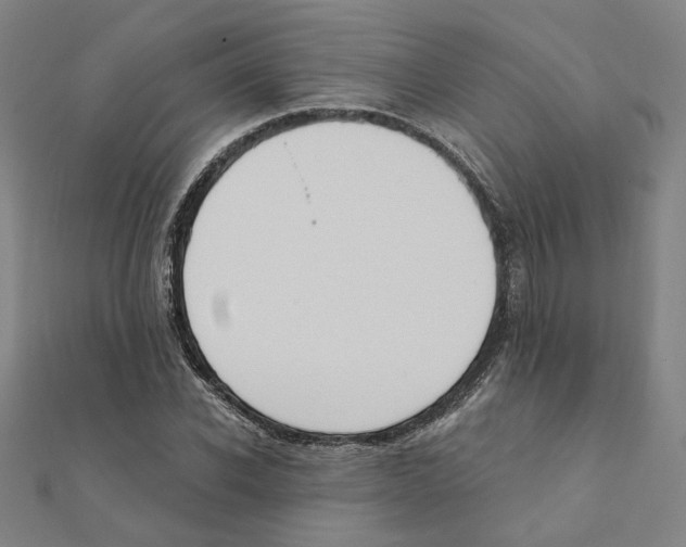 X0000111220926200907301222