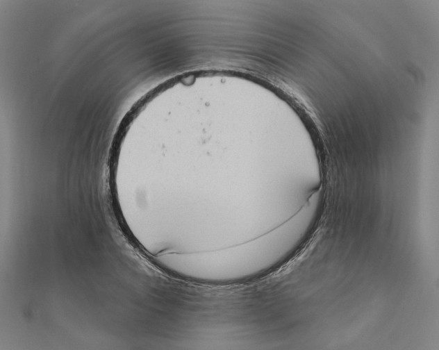 X0000111220928200907301222