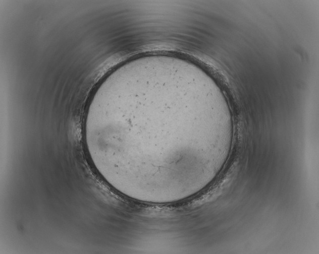 X0000111220929200907301222