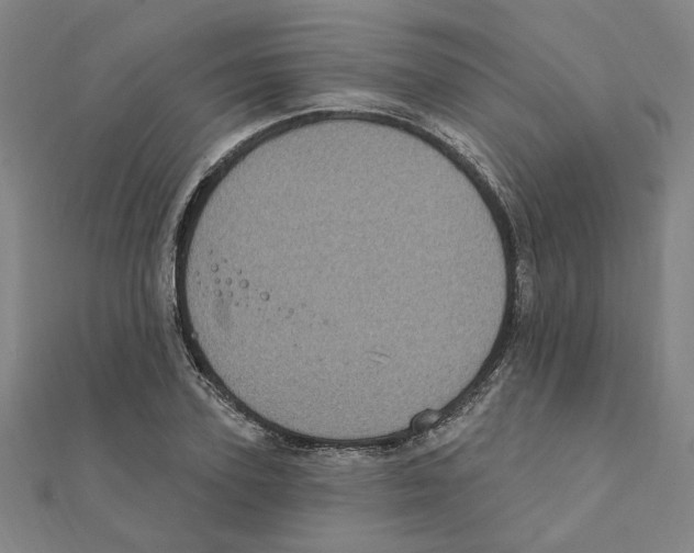 X0000111220931200907301222