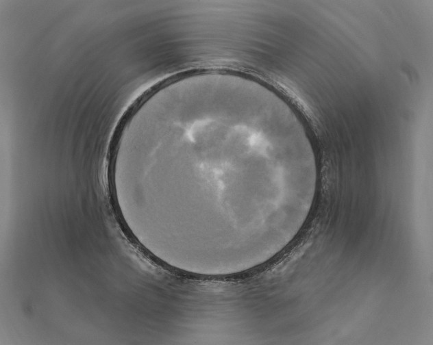 X0000111220932200907301222