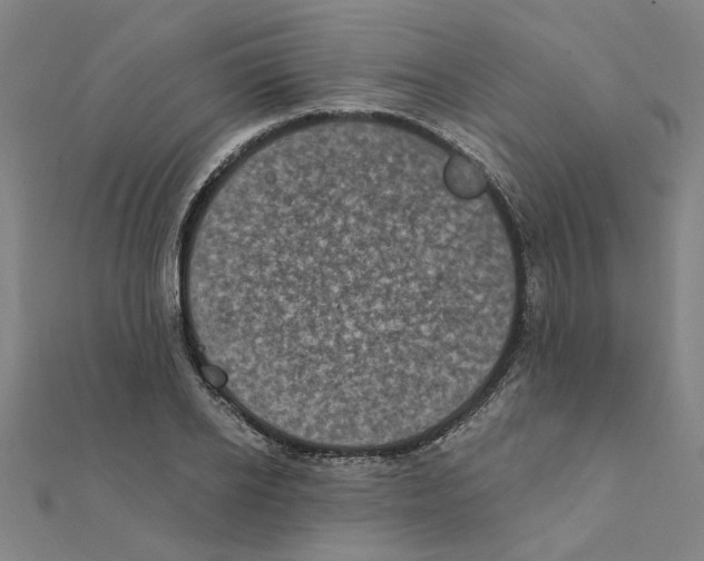 X0000111220934200907301222