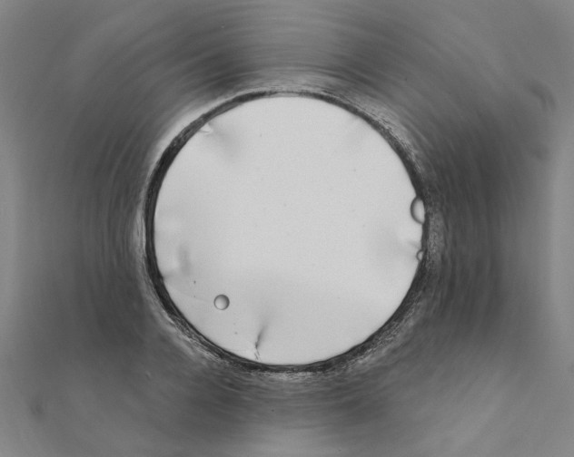 X0000111220936200907301222