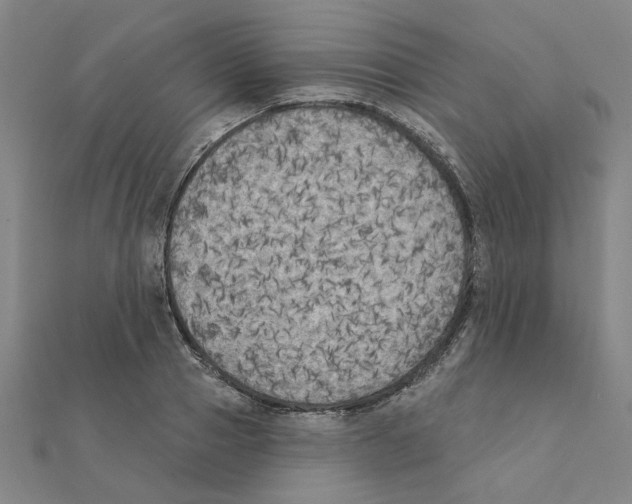 X0000111220937200907301222