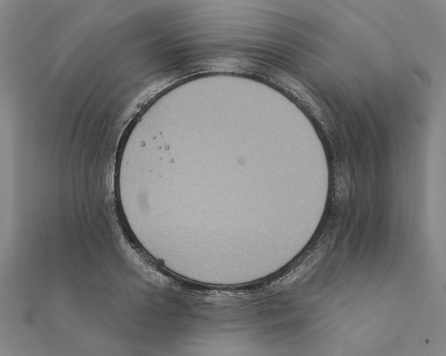 X0000111220938200907301222
