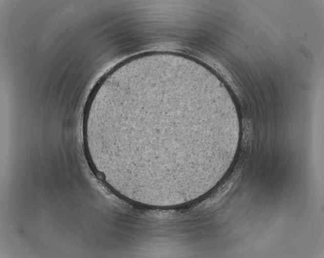 X0000111220939200907301222