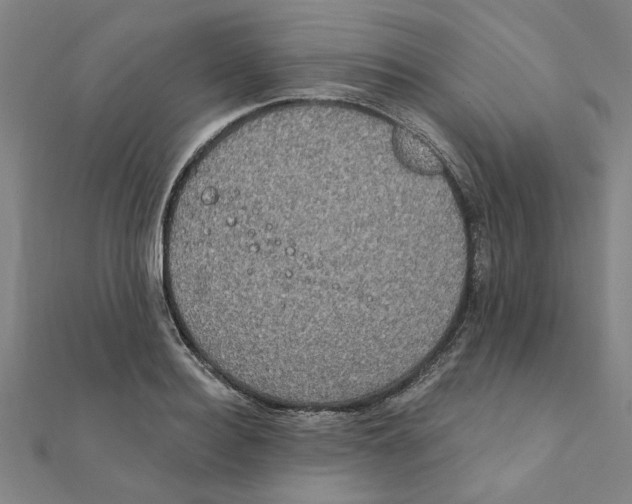 X0000111220940200907301222