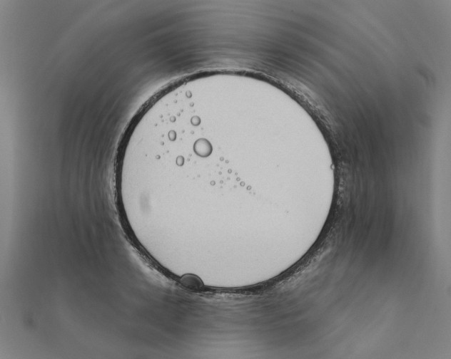 X0000111220942200907301222