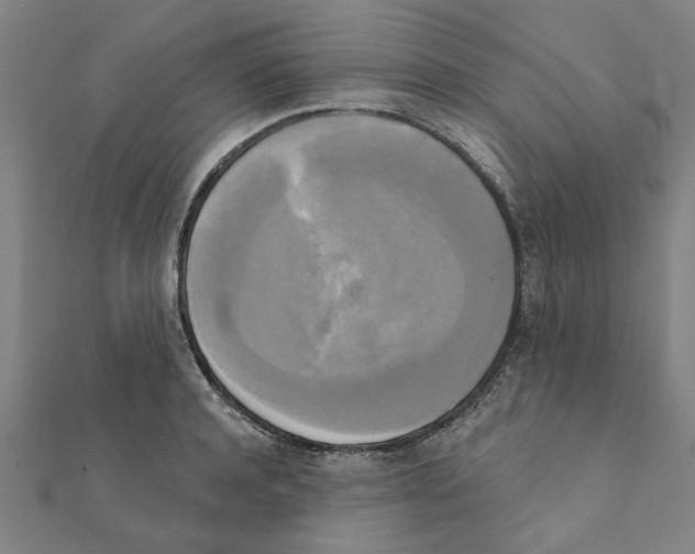 X0000111220944200907301222