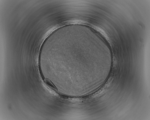 X0000111220946200907301222