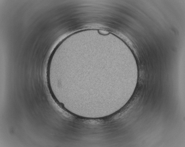 X0000111220947200907301222