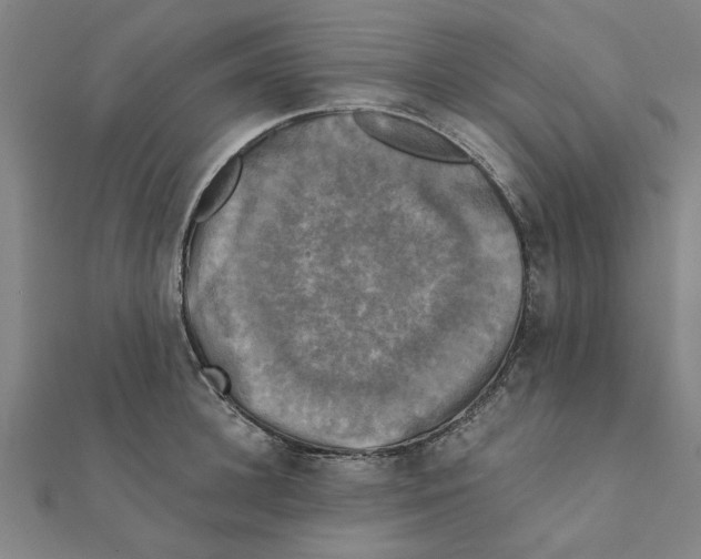 X0000111220948200907301222
