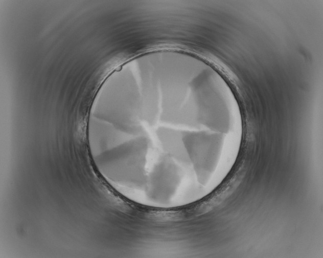 X0000111220953200907301222