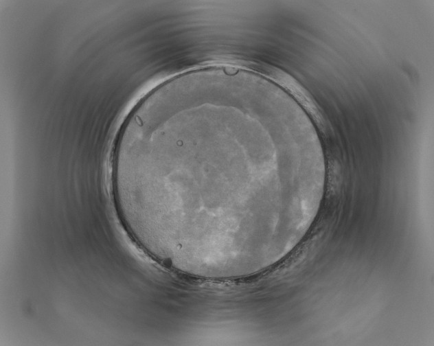 X0000111220955200907301222