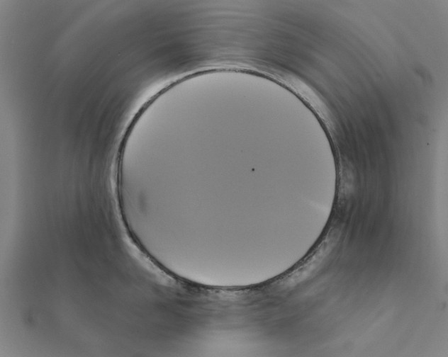 X0000111220958200907301223