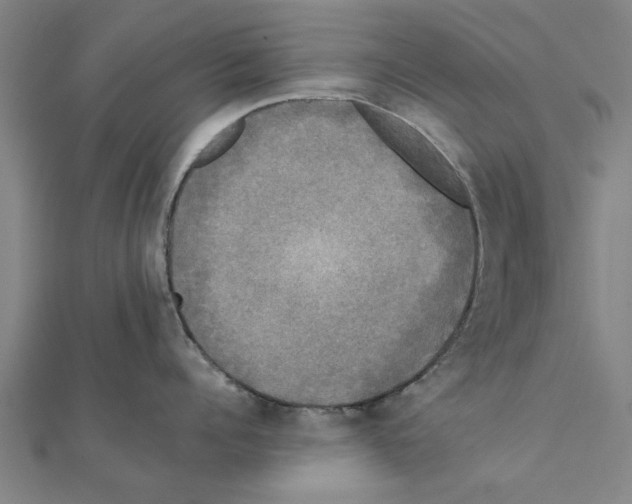 X0000111220960200907301223